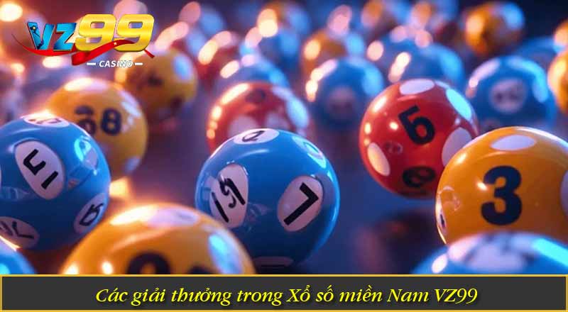 Các giải thưởng trong Xổ số miền Nam VZ99