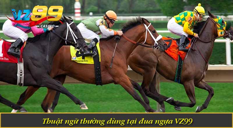Đua Ngựa VZ99 – Tìm Hiểu Các Thuật Ngữ Quan Trọng Trong Game 2 Thuật ngữ thường dùng tại đua ngựa VZ99